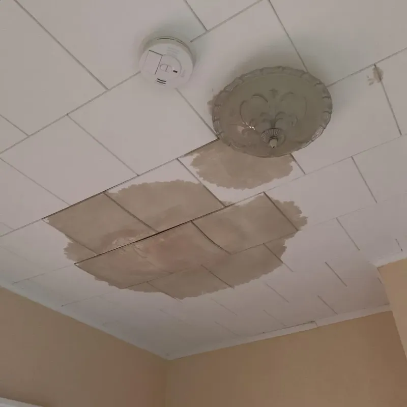 Ceiling Water Damage Repair in Franklin Furnace, OH