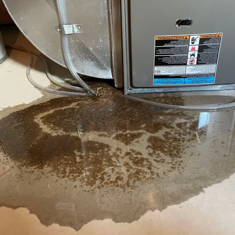 Pipe Burst and Leak Restoration in Franklin Furnace, OH