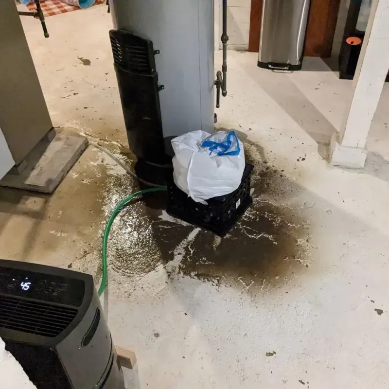 Sewage Backup Cleanup Service in Franklin Furnace, OH